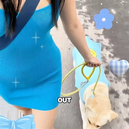 It finally found an owner who truly loved it!🥰🐶❤️#funny #shorts