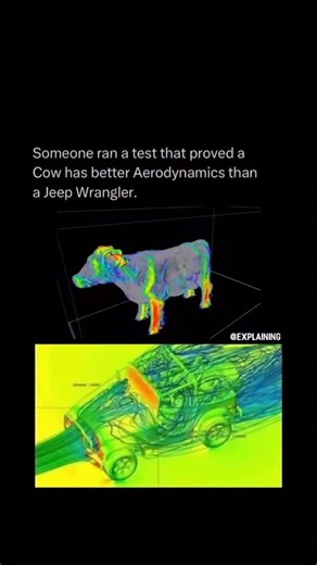 GROW on Instagram: "something NEW every day 🧠‼️ Some aerodynamic studies have shown that a cow can actually outperform a Jeep Wrangler in certain wind-tunnel simulations. 🐄💨 Because of its rounded body and smoother contours, a cow’s shape can sometimes allow air to flow around it more efficiently than the Jeep’s flat front and boxy frame. In those cases, the cow’s drag coefficient measured slightly lower — meaning it created less air resistance. ⚙️ It’s a hilarious but fascinating example of