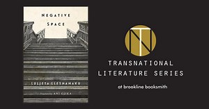 Luljeta Lleshanaku: Negative Space