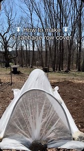 SICK and TIRED of cabbage worms? Here’s the key… plant your broccoli , cabbage, and Brussels then put a row cover on immediately! Materials needed to make a cabbage row cover: *note: my rows are about 34” wide -six 24” rebar posts -Rustoleum outdoor/indoor spray (to control rust on rebar) -two 10’ 1/2” pvc pipe, cut in halves -5’x25’ row cover (find this link in my Amazon store front). You water straight through the fabric. Steps: 1) Amend soil and plant 2) Water and mulch 3) Pound rebar into gr