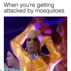 Damn, mosquitos! Song: youtube.com/watch?v=iHxuvP7B-BQ&index=3&list=PLKfzWmd8enoIbxPPgteEYvupcjmZpK9W_ | Spanish Memes