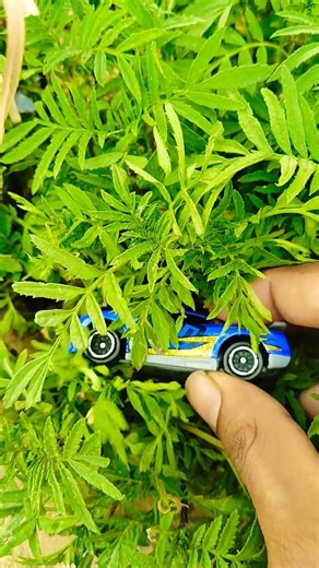 blue car in grass #diecastcars #car #hotwheels