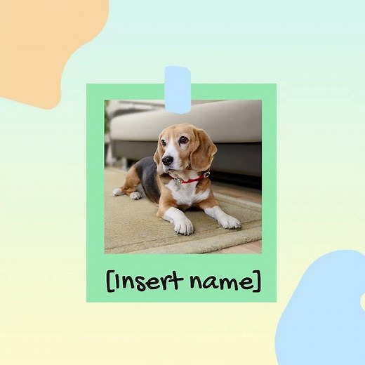 I Love My Pet Video Template | Cute & Fun Animation 🐶🐱