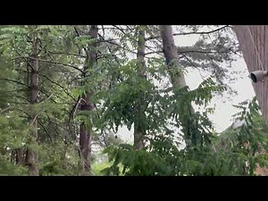 Lightning strike compilation.