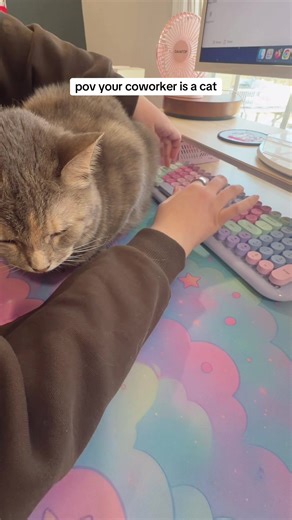This is our routine everyday 🐈 I love wfh and getting to share my creative space with this little screechy creature #journaling #artstudio #plannertok #homeofficeideas #planner home office set up small artist studio journaling