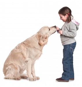 Impulse control – the 6 keys to teaching dogs calm and polite behavior - Smart Animal Training Systems...