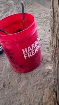 #1967 Ford Taurus 2002 no encendía sensor de cigüeñal lo cambiamos