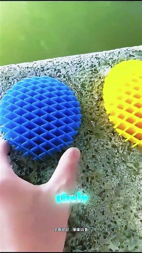 Colorful insects have entered the yard! 😱#shorts