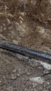 Would you like to see how hard it is to find a termite? See below | Old Reliable Pest Control