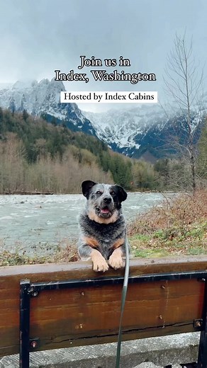We had a lovely time at @Index Cabins in Index, Washington. Index is a cute little mountain town about an hour out of Seattle. It is close to some amazing hikes, skiing, and about an hour from Leavenworth. We stayed in the super cool Sea Containers cabin but they also offer a cool tree house and more traditional cabin options. The property gated off and has access to the river and some trails. It was super dog friendly and Monty gives it two paws up 🐾 Thank for Nick for being a lovely host and 