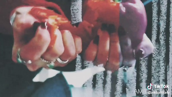 Mixed Media Animation Techniques for Filmmakers