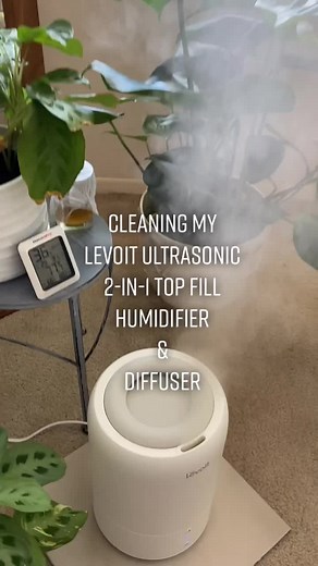 Levoit Ultrasonic 2-in-1 Top Fill Humidifier & Diffuser Review