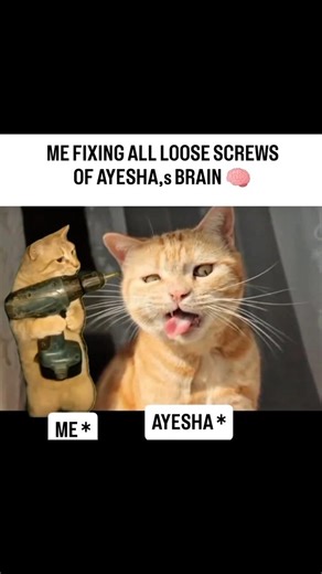Halal memes | Memes Only Muslims Can Understand 🤣 #funny #halalmemes #shorts #muslimlaughs #ramadan