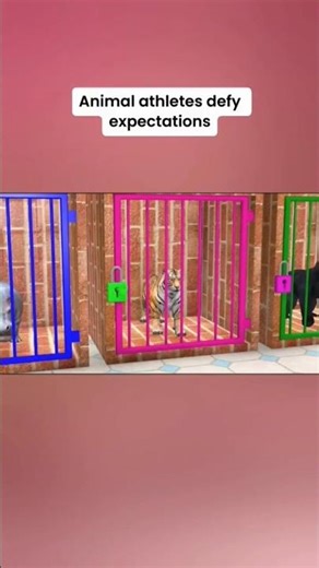 Animal Olympics! 🏆 Hippo & Gorilla Face the Ultimate Colorful Obstacle Course!