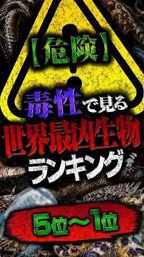 【危険】毒性で見る“世界最凶生物”ランキング（5位～1位）