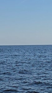 There was a rare killer whale sighting off Cape Cod, Massachusetts on Sunday. | WBZ / CBS News Boston