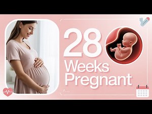 Pregnancy Week 28 The TRUTH About Your Baby's Development