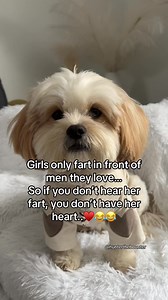 1M views · 4.9K reactions | 藍藍 #funny #comedy #laugh #humor #fart #jokes | Hunter the Bounter | Facebook