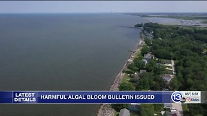 Harmful Algal Bloom Bulletin issued for stretch of Lake Erie