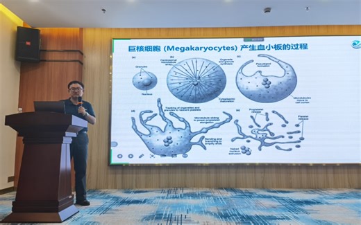 血小板外泌体技术 (PEXO) 发布会