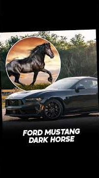 Wild Animals & Their Supercars 🏎️🐾#shorts #shortsfeed