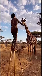 11M views · 217K reactions | Stilt-Walking Man Meets Giraffe A man on stilts shares a moment with a giraffe. Generated using Kling AI . . . (For entertainment purposes only. Consult professionals if guidance on activities is presented. No brand affiliation is implied if any are shown. If inspired by true events, creative adaptations may be included. Content may include public footage.) | Fabiosa Life Stories | Facebook