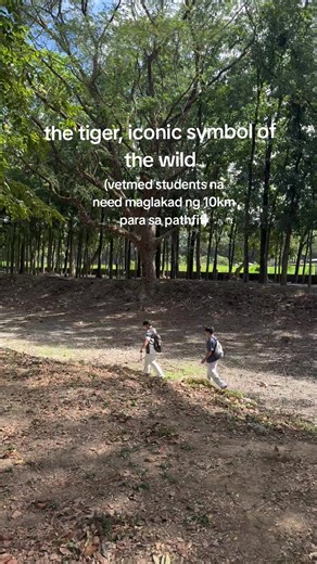 10km Walking Challenge for Vetmed Students