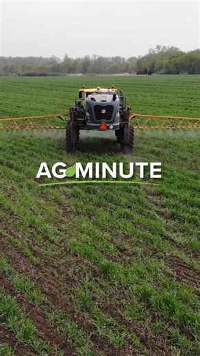 Here's the difference between a cover and cash crop. | Ag PhD