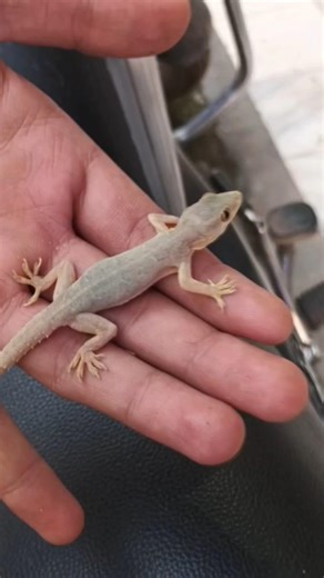 200 pics in 10 sec 🤫 #shorts