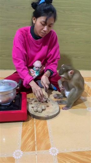 Adorable baby monkey #monkeylove #monkeybaby #adorable #adorablemonkey #babyanimal #monkeysmart