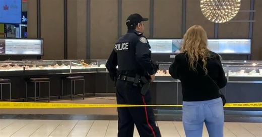 Smash-and-grab at jewelry store in Dufferin Mall