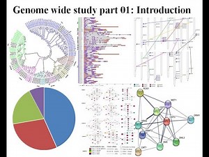 Genome wide study Part 01 Introduction