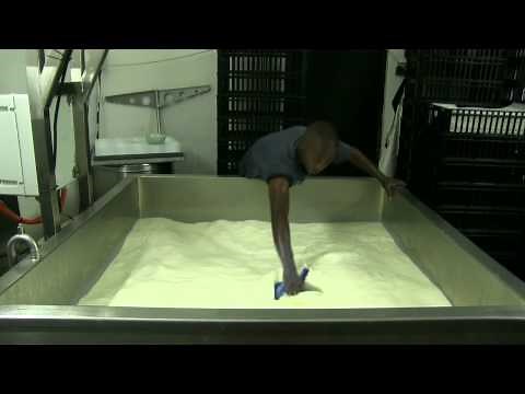 La Petite France - camembert and brie cheese making process