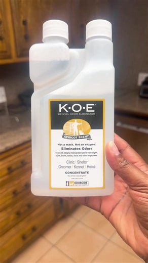 Tanedra (@tanedrahoward)’s videos with Natural Emotions - Muspace Lofi