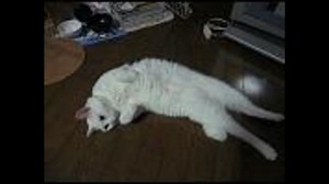 屈折してしまった人たちへ