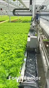 Hydroponic Farming in the USA – Growing Without Soil #USA #HydroponicFarming #UrbanAgriculture #SoilLessFarming | Fact Mentor