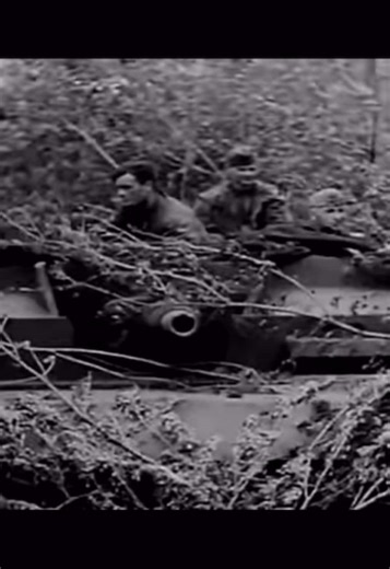 Ww2 #ww2history #ww2 #ww2footage #fyp #fakegun
