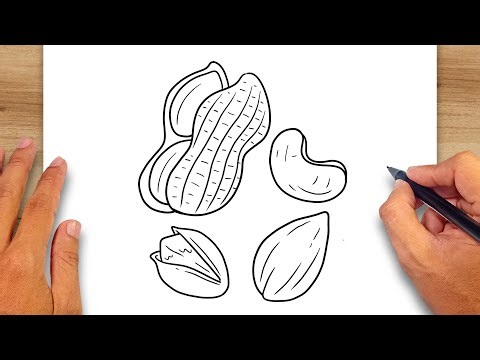 How to draw Nuts - Nuts Drawing Ideas