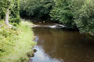 Marsbahis - Güncel Giriş ve Platform Rehberi