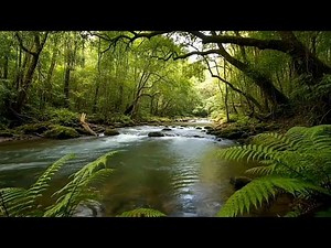 FLOWING RIVER WATER AND BIRDS SINGING, CALM FOREST AMBIENCE FOR RELAXATION