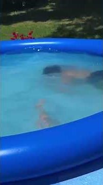 LAST TO LEAVE POOL CHALLENGE GONE WRONG