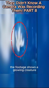 They Didn't Know A Camera Was Recording Them 8 | Knowledge Facts