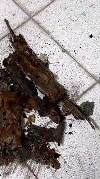 Day 1 of the Panda 4×4 engine removal—Full episode drops: Sunday, December 21 at 13:00.Tap reminder!