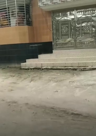 Samiul Alim on Reels