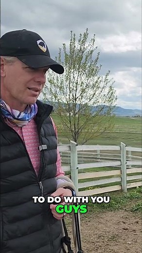 Horse Training: Building Trust Through Touch