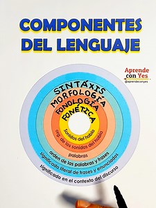 Aprende con Yes on Reels