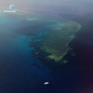 217K views · 50 reactions | "Impressive! So much content. Love it......