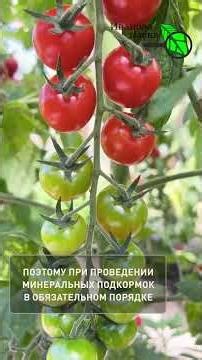 YOUR VEGETABLE GARDEN WILL EXPLODE WITH CROP PRODUCTION! The first important feeding for all seed...