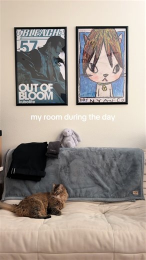 Maximizing Natural Lighting in Your Home