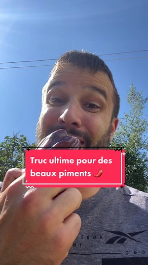 Truc ultime pour avoir des piments rouges en automne